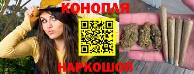 СК Краснознаменск