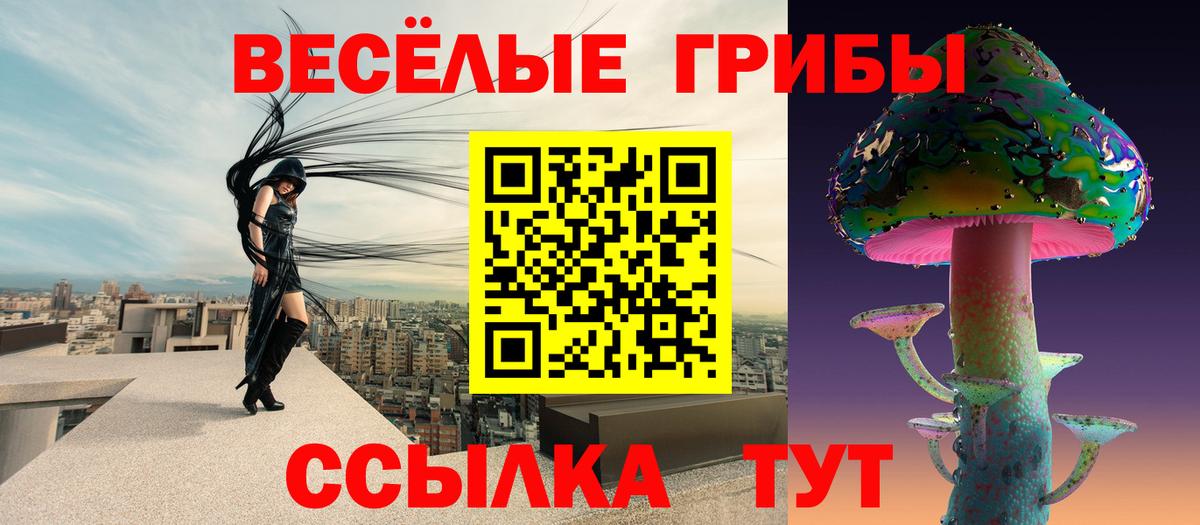 купить наркотики цена  Вход с VPN  Бугуруслан  Галлюциногенные грибы Cubensis 